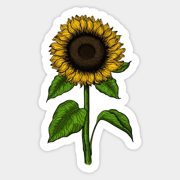 Sunflower Sticker by katerinamk